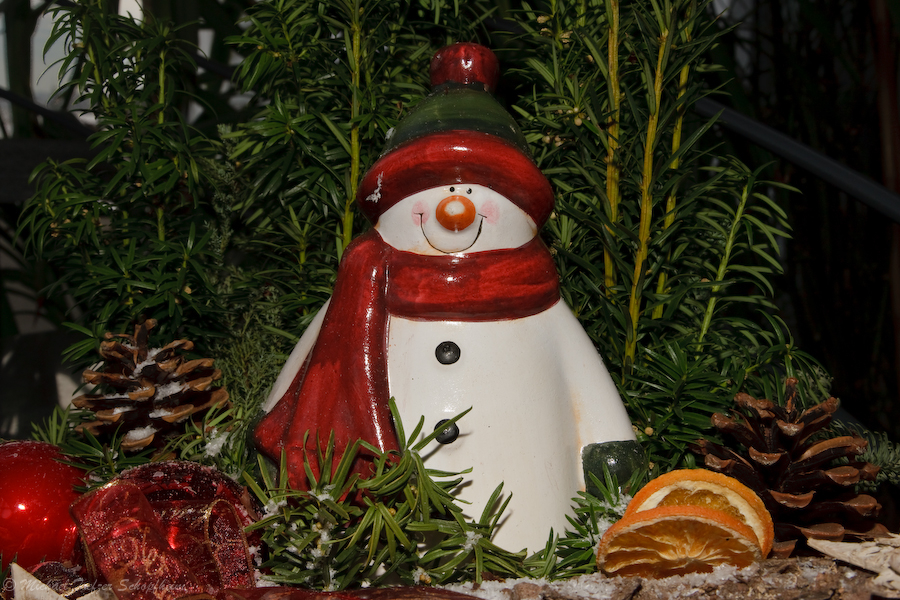 weihnachten2008-35.jpg