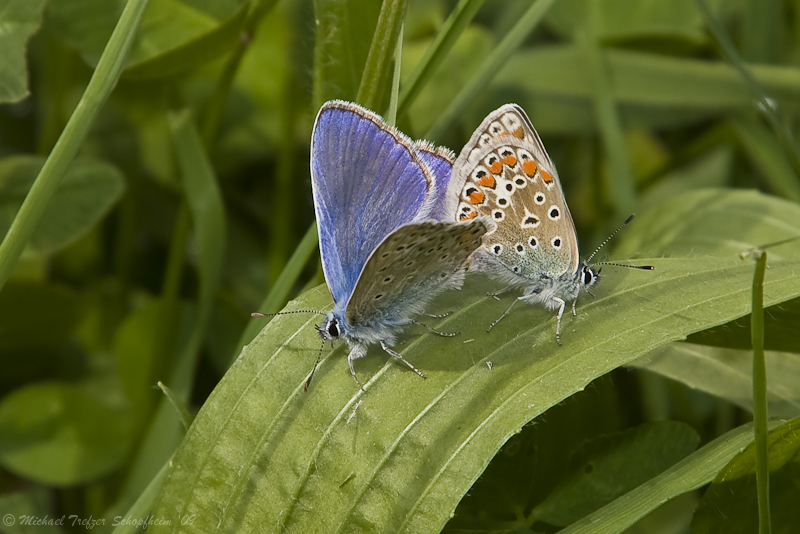 1D__1486-1-2.jpg