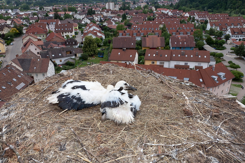 unbenannt-9767.JPG